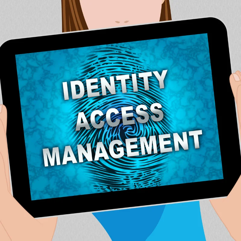 Identity & Access Management (IAM) Service UAE (2)